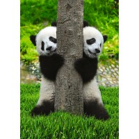 Фотообои 2 м "Две панды" 21-0167-NG 